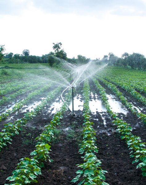 Procesos Industriales - Irrigación y Agricultura